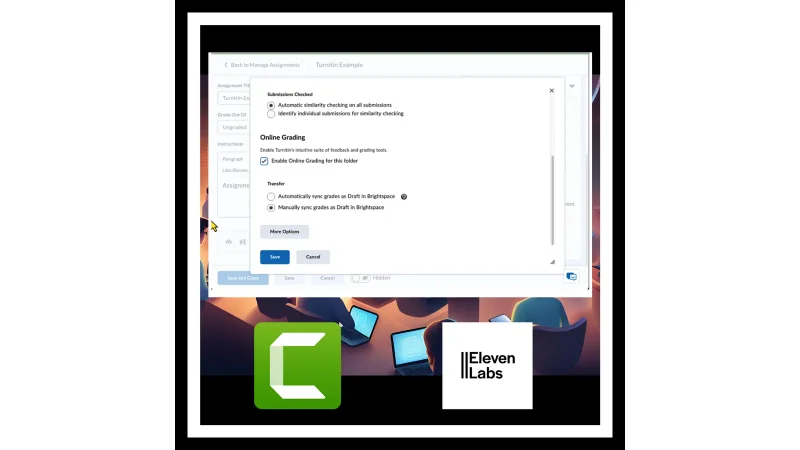 Instructional Video Example  – Turnitin